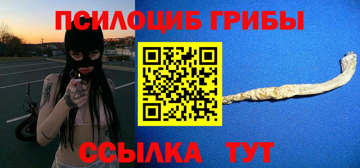 Жигулёвск  Галлюциногенные грибы Psilocybe  Вход с VPN 